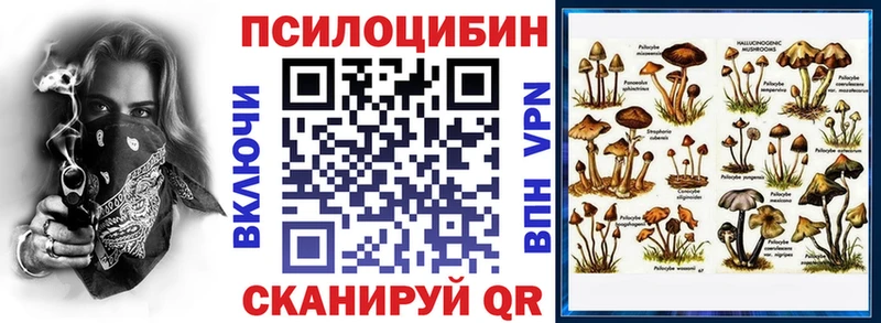 купить  сайты  ссылка на мегу как войти  Галлюциногенные грибы Cubensis  Духовщина 
